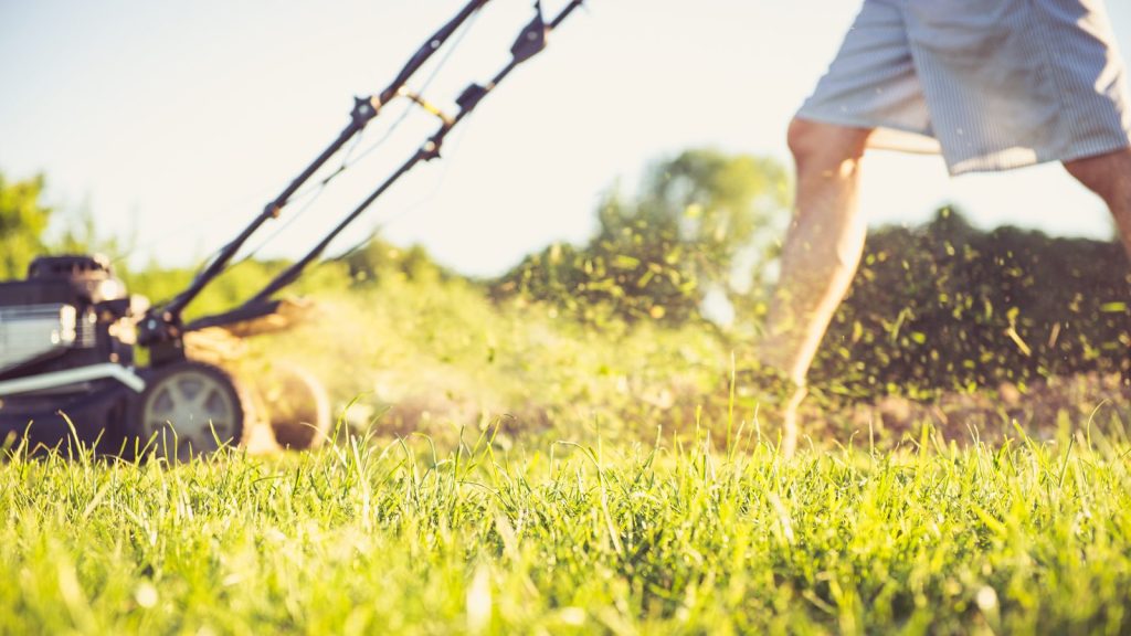 great lawn services