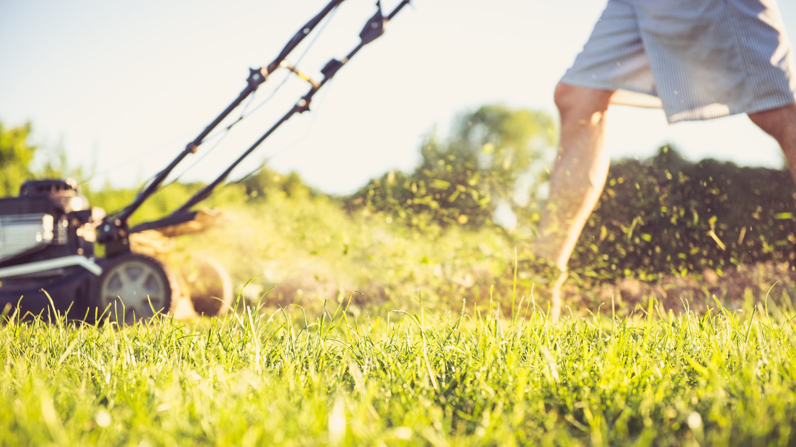 great lawn services